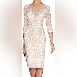 Elegant Mother of the Bride or bridal dress. Blush Lace Sheath Dress